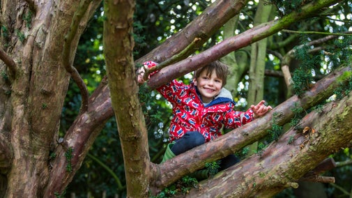 A boy playing in a tree at Nunnington Hall, North Yorkshire